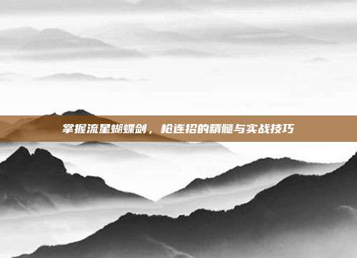掌握流星蝴蝶剑，枪连招的精髓与实战技巧-第1张图片-速奇网