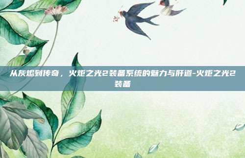 从灰烬到传奇，火炬之光2装备系统的魅力与肝道-火炬之光2装备-第1张图片-速奇网