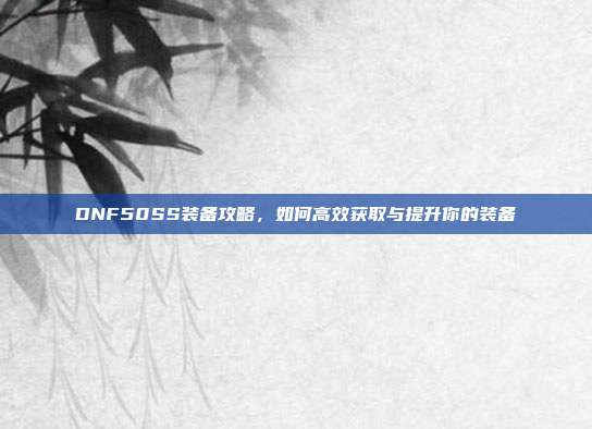 DNF50SS装备攻略，如何高效获取与提升你的装备-第1张图片-速奇网