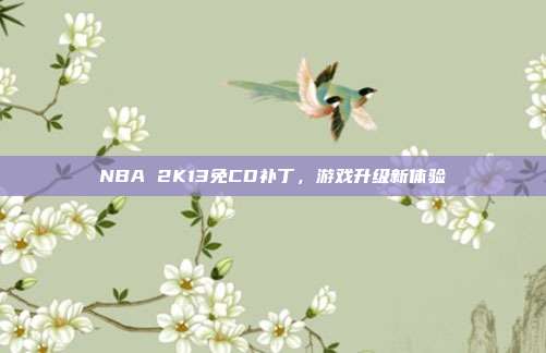 NBA 2K13免CD补丁,游戏升级新体验-第1张图片-速奇网 NBA 2K13免CD补丁,游戏升级新体验-第1张图片-速奇网