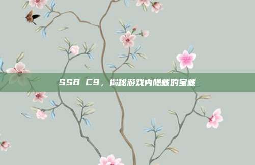 SSB C9,揭秘游戏内隐藏的宝藏-第1张图片-速奇网 SSB C9,揭秘游戏内隐藏的宝藏-第1张图片-速奇网