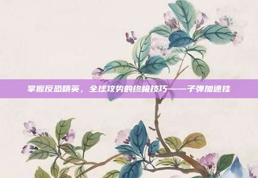 掌握反恐精英,全球攻势的终极技巧——子弹加速挂-第1张图片-速奇网 掌握反恐精英,全球攻势的终极技巧——子弹加速挂-第1张图片-速奇网