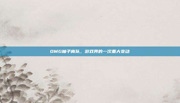 OMG柚子离队，游戏界的一次重大变动-第1张图片-速奇网