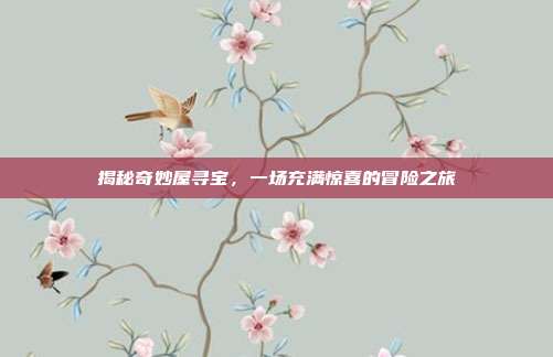 揭秘奇妙屋寻宝,一场充满惊喜的冒险之旅-第1张图片-速奇网 揭秘奇妙屋寻宝,一场充满惊喜的冒险之旅-第1张图片-速奇网
