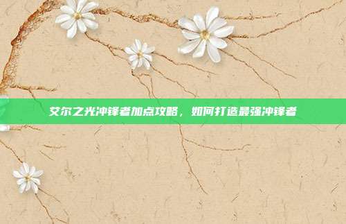 艾尔之光冲锋者加点攻略，如何打造最强冲锋者-第1张图片-速奇网