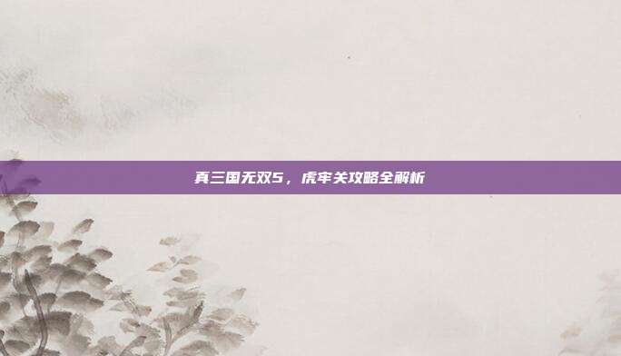 真三国无双5,虎牢关攻略全解析-第1张图片-速奇网 真三国无双5,虎牢关攻略全解析-第1张图片-速奇网