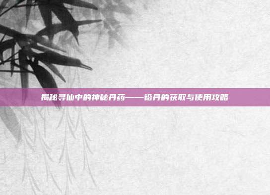 揭秘寻仙中的神秘丹药——铅丹的获取与使用攻略-第1张图片-速奇网 揭秘寻仙中的神秘丹药——铅丹的获取与使用攻略-第1张图片-速奇网