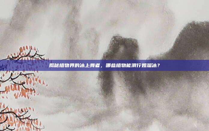 揭秘植物界的冰上舞者,哪些植物能滑行如溜冰?-第1张图片-速奇网 揭秘植物界的冰上舞者,哪些植物能滑行如溜冰?-第1张图片-速奇网