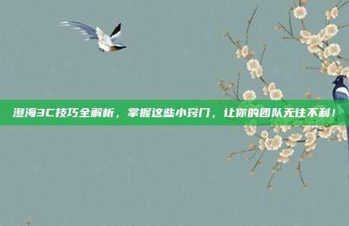 澄海3C技巧全解析,掌握这些小窍门,让你的团队无往不利!-第1张图片-速奇网 澄海3C技巧全解析,掌握这些小窍门,让你的团队无往不利!-第1张图片-速奇网