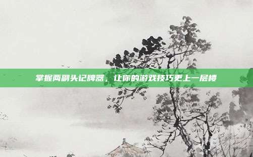 掌握两副头记牌器，让你的游戏技巧更上一层楼-第1张图片-速奇网