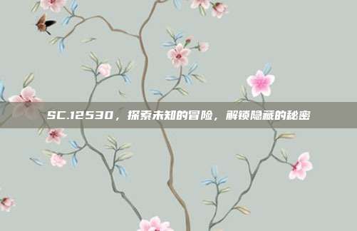 SC.12530,探索未知的冒险,解锁隐藏的秘密-第1张图片-速奇网 SC.12530,探索未知的冒险,解锁隐藏的秘密-第1张图片-速奇网