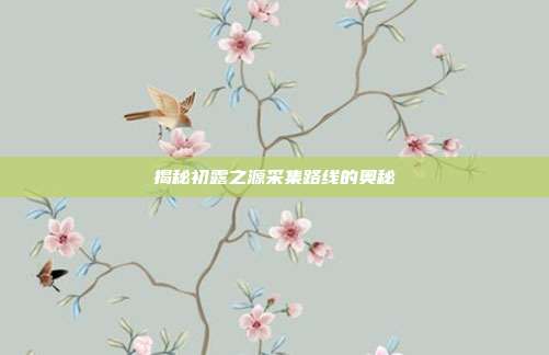 揭秘初露之源采集路线的奥秘-第1张图片-速奇网 揭秘初露之源采集路线的奥秘-第1张图片-速奇网