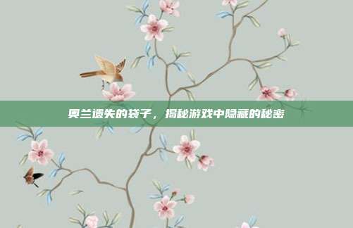 奥兰遗失的袋子,揭秘游戏中隐藏的秘密-第1张图片-速奇网 奥兰遗失的袋子,揭秘游戏中隐藏的秘密-第1张图片-速奇网