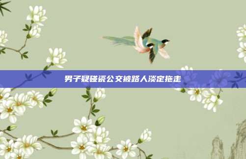 男子疑碰瓷公交被路人淡定拖走-第1张图片-速奇网