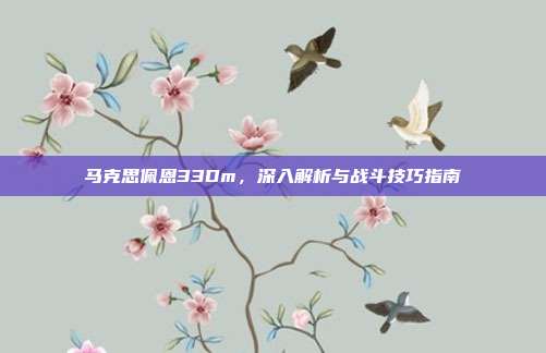 马克思佩恩33Dm,深入解析与战斗技巧指南-第1张图片-速奇网 马克思佩恩33Dm,深入解析与战斗技巧指南-第1张图片-速奇网