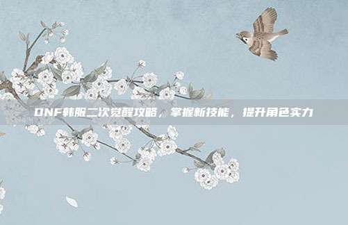 DNF韩服二次觉醒攻略，掌握新技能，提升角色实力-第1张图片-速奇网