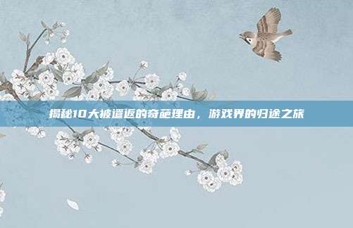揭秘10大被遣返的奇葩理由,游戏界的归途之旅-第1张图片-速奇网 揭秘10大被遣返的奇葩理由,游戏界的归途之旅-第1张图片-速奇网