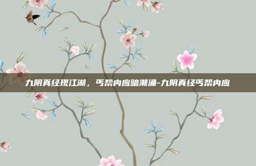 九阴真经现江湖,丐帮内应暗潮涌-九阴真经丐帮内应-第1张图片-速奇网 九阴真经现江湖,丐帮内应暗潮涌-九阴真经丐帮内应-第1张图片-速奇网