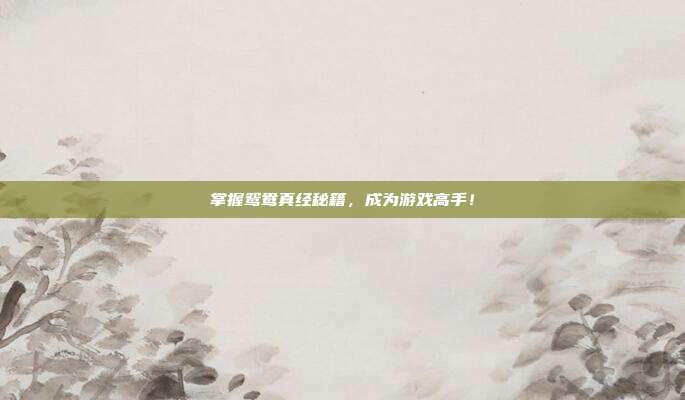 掌握鸳鸯真经秘籍，成为游戏高手！-第1张图片-速奇网