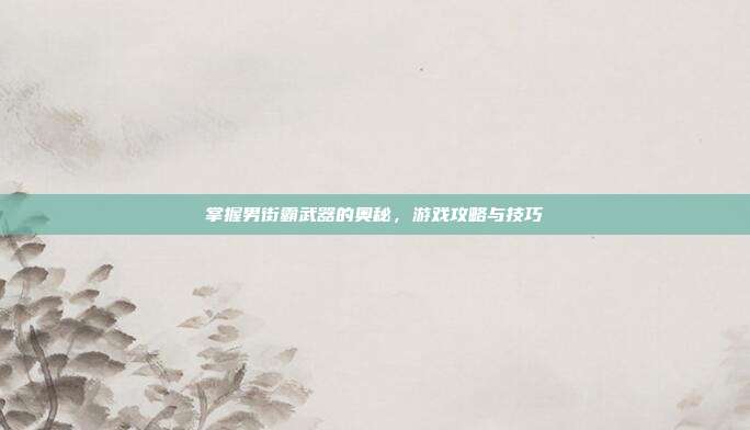 掌握男街霸武器的奥秘,游戏攻略与技巧-第1张图片-速奇网 掌握男街霸武器的奥秘,游戏攻略与技巧-第1张图片-速奇网