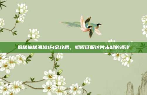 揭秘神秘海域1白金攻略，如何征服这片未知的海洋-第1张图片-速奇网
