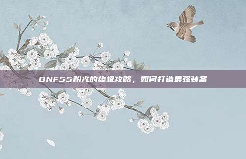 DNF55粉光的终极攻略,如何打造最强装备-第1张图片-速奇网 DNF55粉光的终极攻略,如何打造最强装备-第1张图片-速奇网