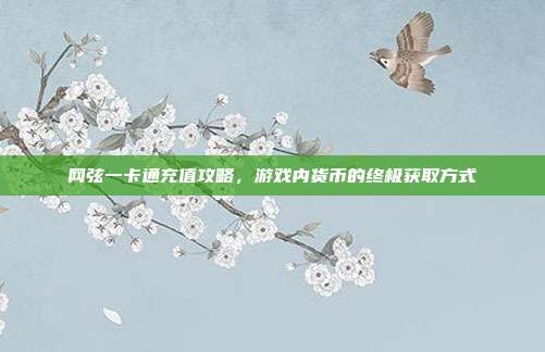 网弦一卡通充值攻略，游戏内货币的终极获取方式-第1张图片-速奇网