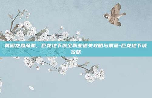 勇闯龙息深渊，巨龙地下城全职业通关攻略与禁忌-巨龙地下城攻略-第1张图片-速奇网