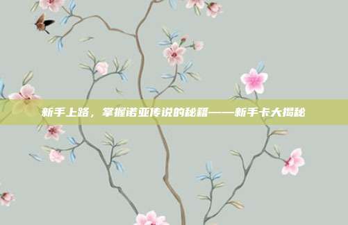新手上路，掌握诺亚传说的秘籍——新手卡大揭秘-第1张图片-速奇网