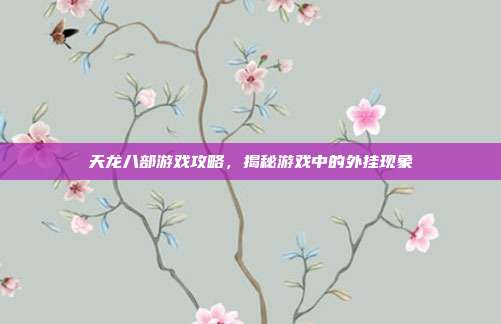 天龙八部游戏攻略，揭秘游戏中的外挂现象-第1张图片-速奇网