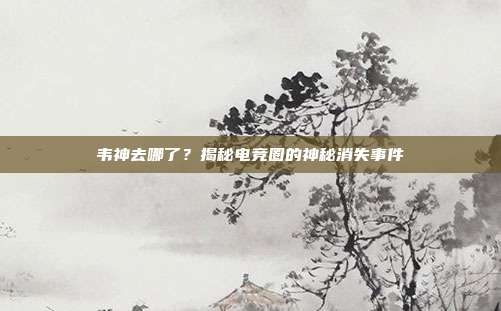 韦神去哪了?揭秘电竞圈的神秘消失事件-第1张图片-速奇网 韦神去哪了?揭秘电竞圈的神秘消失事件-第1张图片-速奇网
