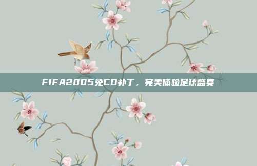 FIFA2005免CD补丁,完美体验足球盛宴-第1张图片-速奇网 FIFA2005免CD补丁,完美体验足球盛宴-第1张图片-速奇网