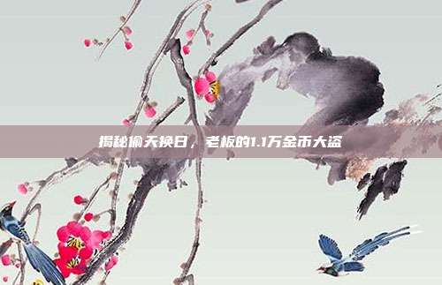 揭秘偷天换日,老板的1.1万金币大盗-第1张图片-速奇网 揭秘偷天换日,老板的1.1万金币大盗-第1张图片-速奇网