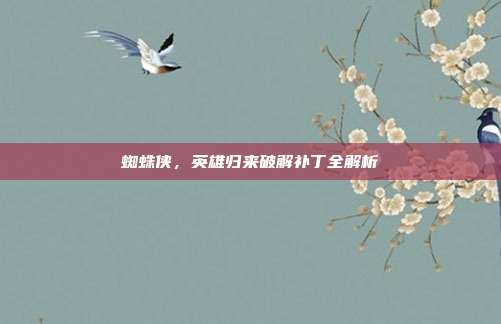 蜘蛛侠,英雄归来破解补丁全解析-第1张图片-速奇网 蜘蛛侠,英雄归来破解补丁全解析-第1张图片-速奇网
