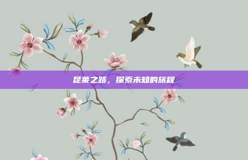昆莱之路,探索未知的旅程-第1张图片-速奇网 昆莱之路,探索未知的旅程-第1张图片-速奇网