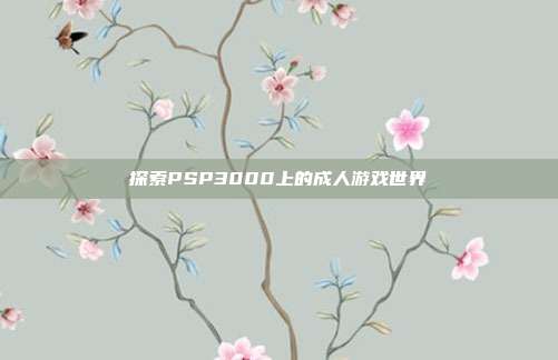 探索PSP3000上的成人游戏世界-第1张图片-速奇网