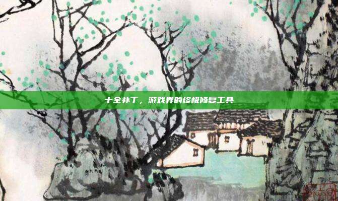 十全补丁,游戏界的终极修复工具-第1张图片-速奇网 十全补丁,游戏界的终极修复工具-第1张图片-速奇网