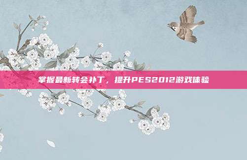 掌握最新转会补丁,提升PES2012游戏体验-第1张图片-速奇网 掌握最新转会补丁,提升PES2012游戏体验-第1张图片-速奇网
