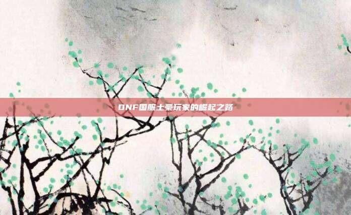 DNF国服土豪玩家的崛起之路-第1张图片-速奇网 DNF国服土豪玩家的崛起之路-第1张图片-速奇网
