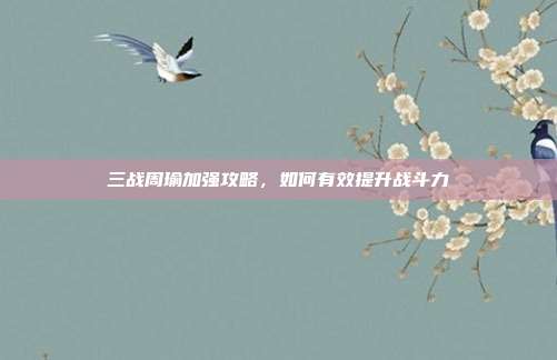 三战周瑜加强攻略,如何有效提升战斗力-第1张图片-速奇网 三战周瑜加强攻略,如何有效提升战斗力-第1张图片-速奇网