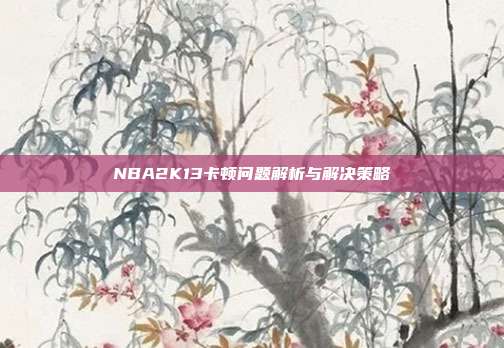 NBA2K13卡顿问题解析与解决策略-第1张图片-速奇网 NBA2K13卡顿问题解析与解决策略-第1张图片-速奇网