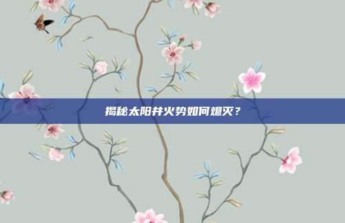 揭秘太阳井火势如何熄灭?-第1张图片-速奇网 揭秘太阳井火势如何熄灭?-第1张图片-速奇网