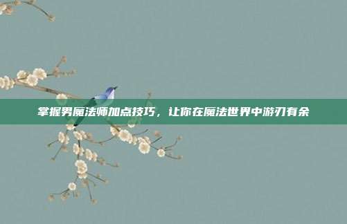 掌握男魔法师加点技巧,让你在魔法世界中游刃有余-第1张图片-速奇网 掌握男魔法师加点技巧,让你在魔法世界中游刃有余-第1张图片-速奇网