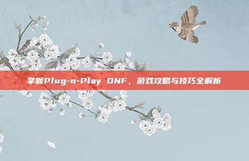 掌握Plug-n-Play DNF，游戏攻略与技巧全解析-第1张图片-速奇网