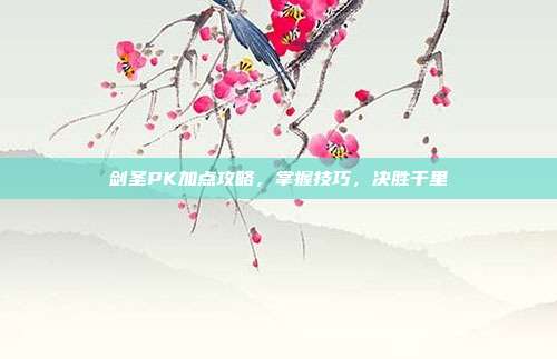 剑圣PK加点攻略,掌握技巧,决胜千里-第1张图片-速奇网 剑圣PK加点攻略,掌握技巧,决胜千里-第1张图片-速奇网