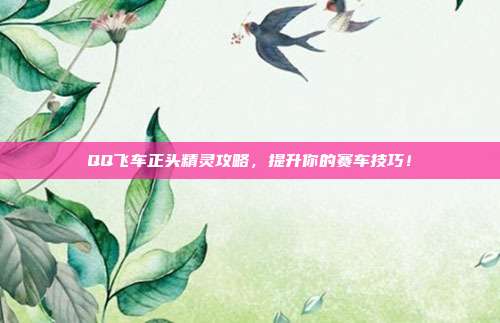 QQ飞车正头精灵攻略,提升你的赛车技巧!-第1张图片-速奇网 QQ飞车正头精灵攻略,提升你的赛车技巧!-第1张图片-速奇网
