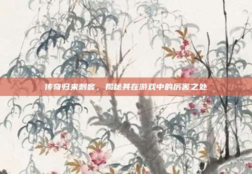 传奇归来刺客,揭秘其在游戏中的厉害之处-第1张图片-速奇网 传奇归来刺客,揭秘其在游戏中的厉害之处-第1张图片-速奇网